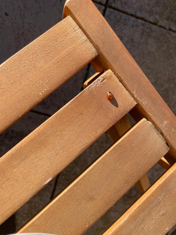 Duplex 6 Plazas Para Desconectar De La Rutina Oliana Екстериор снимка